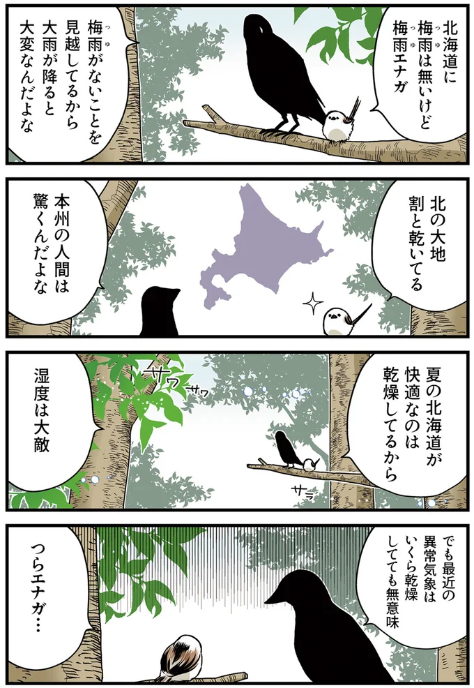 『永久機関シマエナガ－シマエナガとカラスさん－さんばいめっ！』より