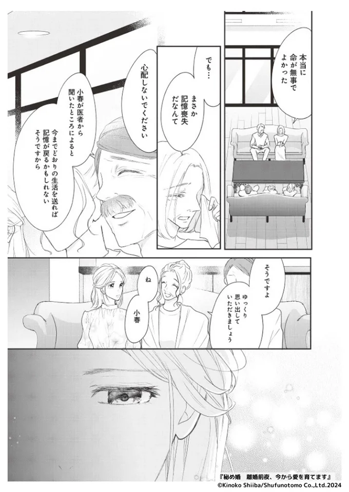 『秘め婚―離婚前夜、今から愛を育てます―』より