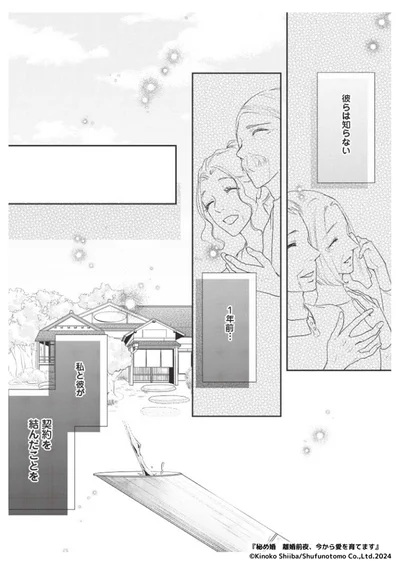 『秘め婚―離婚前夜、今から愛を育てます―』より