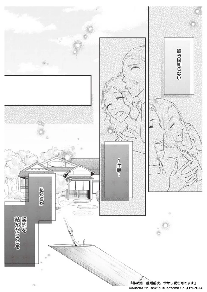 『秘め婚―離婚前夜、今から愛を育てます―』より
