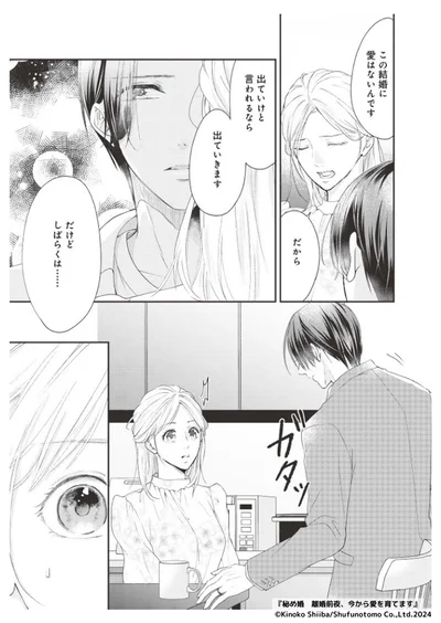 『秘め婚―離婚前夜、今から愛を育てます―』より