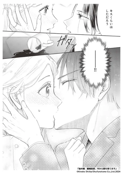 『秘め婚―離婚前夜、今から愛を育てます―』より