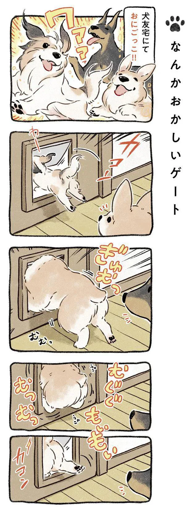 『ドベとノラ 犬がくれた優しい世界』より