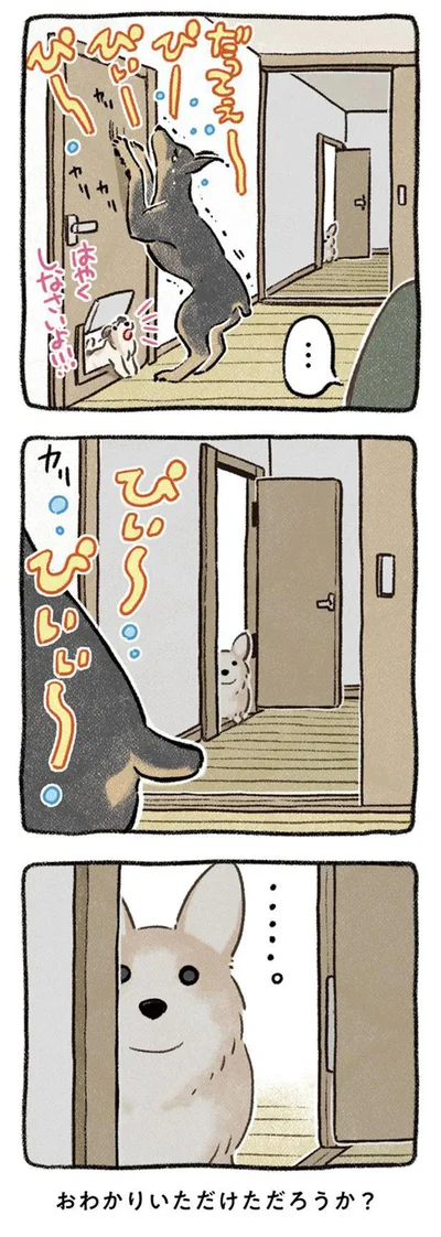  『ドベとノラ 犬がくれた優しい世界』より