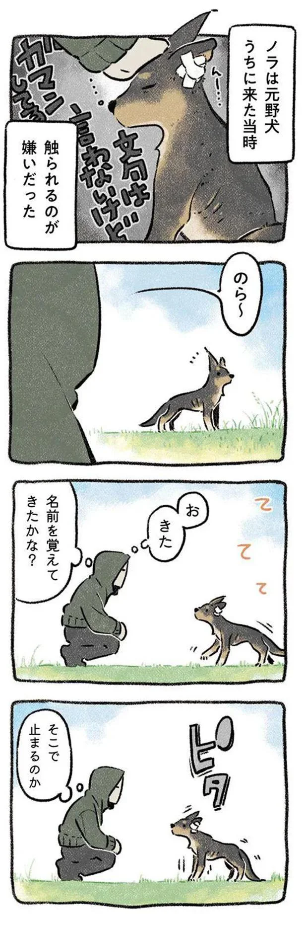  『ドベとノラ 犬がくれた優しい世界』より