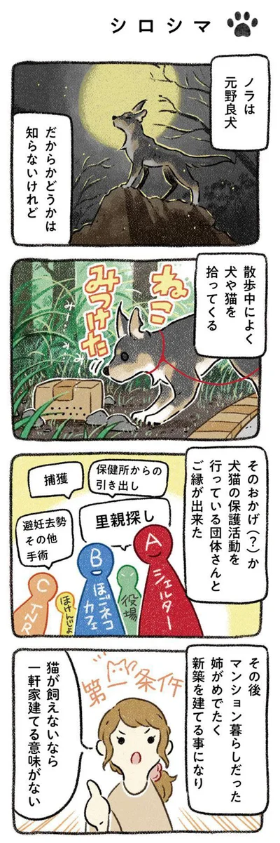 『ドベとノラ 犬がくれた優しい世界』より