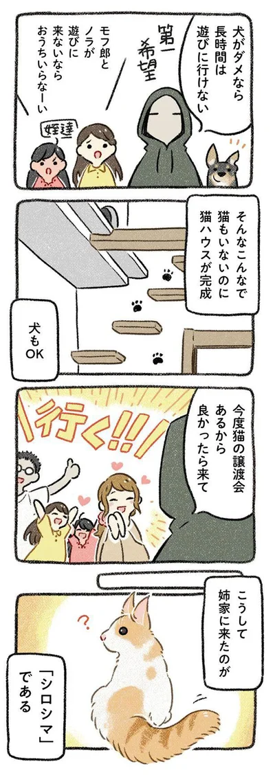 『ドベとノラ 犬がくれた優しい世界』より