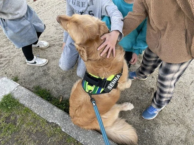 セナくんは子どもたちに肉球を触られても無抵抗！仲良くなれてよかったね！▶次は子どもたちに心を許したセナくんの嬉しそうな表情（⇒次へ）