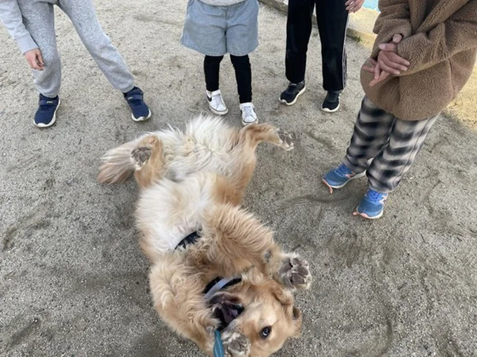 飼い主さんに終始敬語で、とっても礼儀正しい子どもたちだったそうです▶次は思わず舌なめずり！セナくんの特別な日の1枚（⇒次へ）