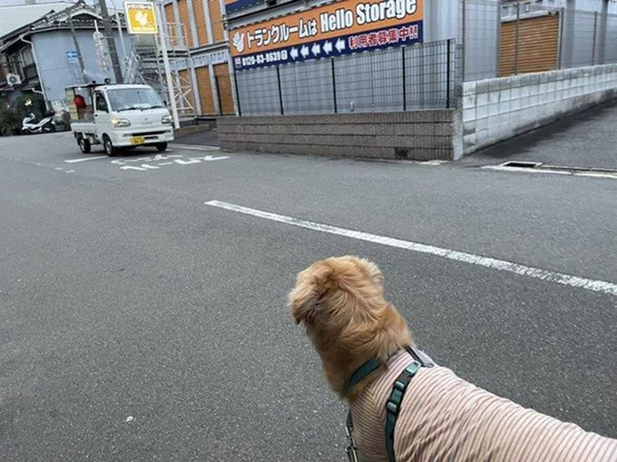 セナくんは焼き芋が大好き。焼き芋の車を見つけると、買ってもらえるまで絶対にその場を動かないそうです。▶次はあるものを凝視する、セナくんの切ない横顔…。（⇒次へ）