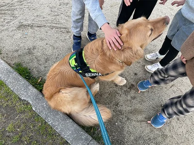 最初はセナくんの頭を撫でていた子どもたち。ところが、セナくんに飼い主さんが「おすわり」と声をかけたところ…▶︎そうきたか！次は子どもたちのかわいすぎる反応（⇒次へ）