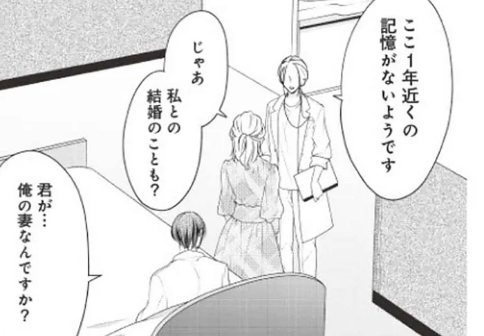 「君が僕の妻なんですか？」記憶喪失の夫は妻のことすら覚えていない!?／秘め婚（2）
