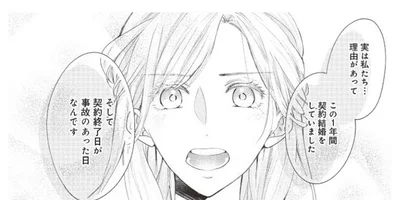 この1年間契約結婚をしていました