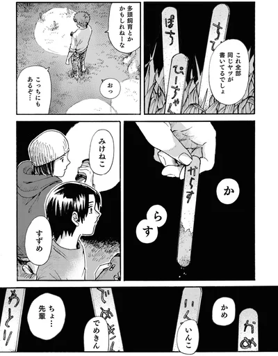 かめ　いんこ　でめきん