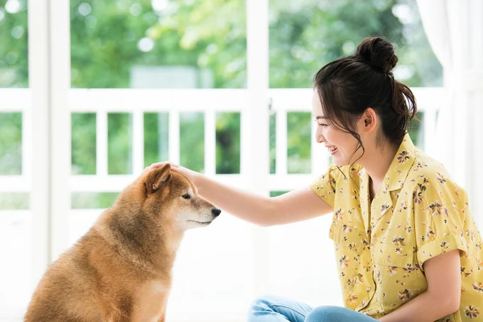 見ていて飽きない犬のかわいい表情