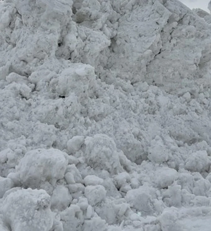 雪の山で家に入れないと絶望していたら…▶次の画像で話題のワンコ画像⇒