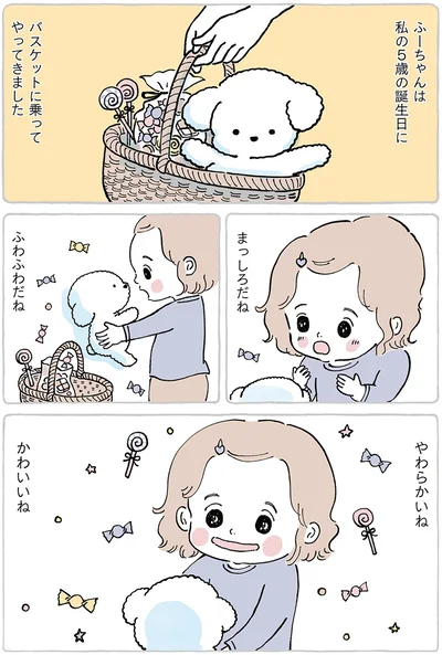 『わたしのぬいぐるみさん』より