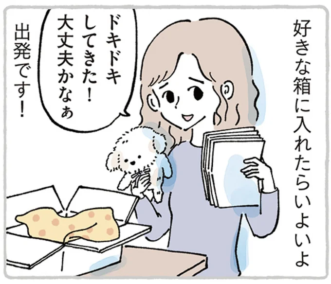   『わたしのぬいぐるみさん』より