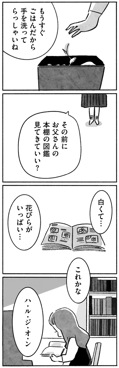 これかな