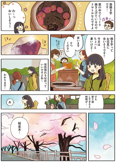 焼き芋ってお花見に合いそうです！！