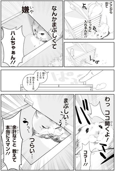 『はむはむづくし2』より