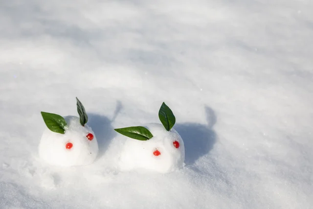 自宅に野生の雪うさぎ！？27万いいねを集めたポストが絵本の世界のようだと大反響！