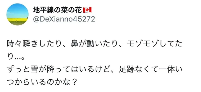 よく見ると目を開けて鼻も動いていたそう！▶次はどうなった…？雪うさぎのその後（⇒次へ）