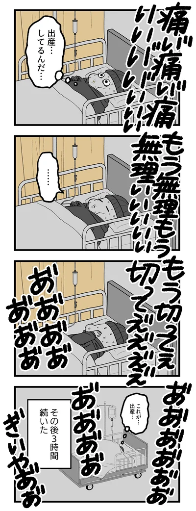 『つわりが怖くて2人目に踏み切れない話』より