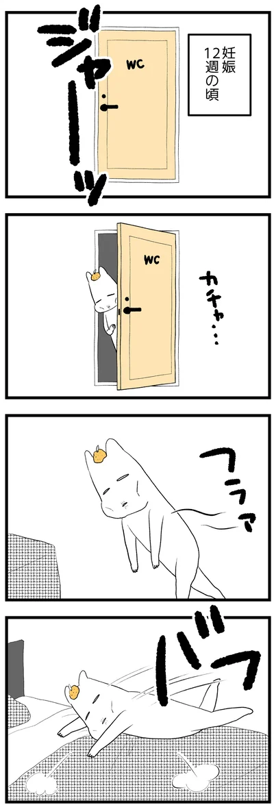 妊娠12週の頃