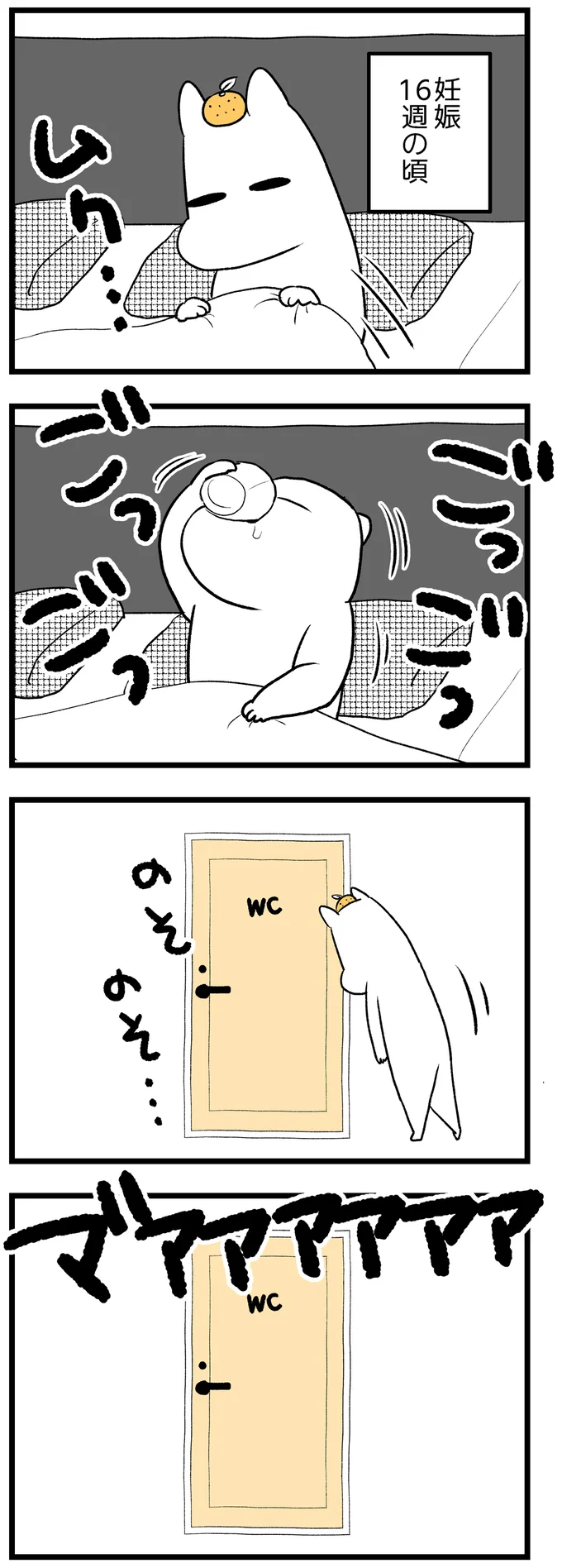 妊娠16週の頃