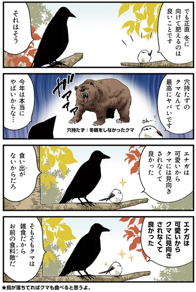 クマに見向きされなくて良かった