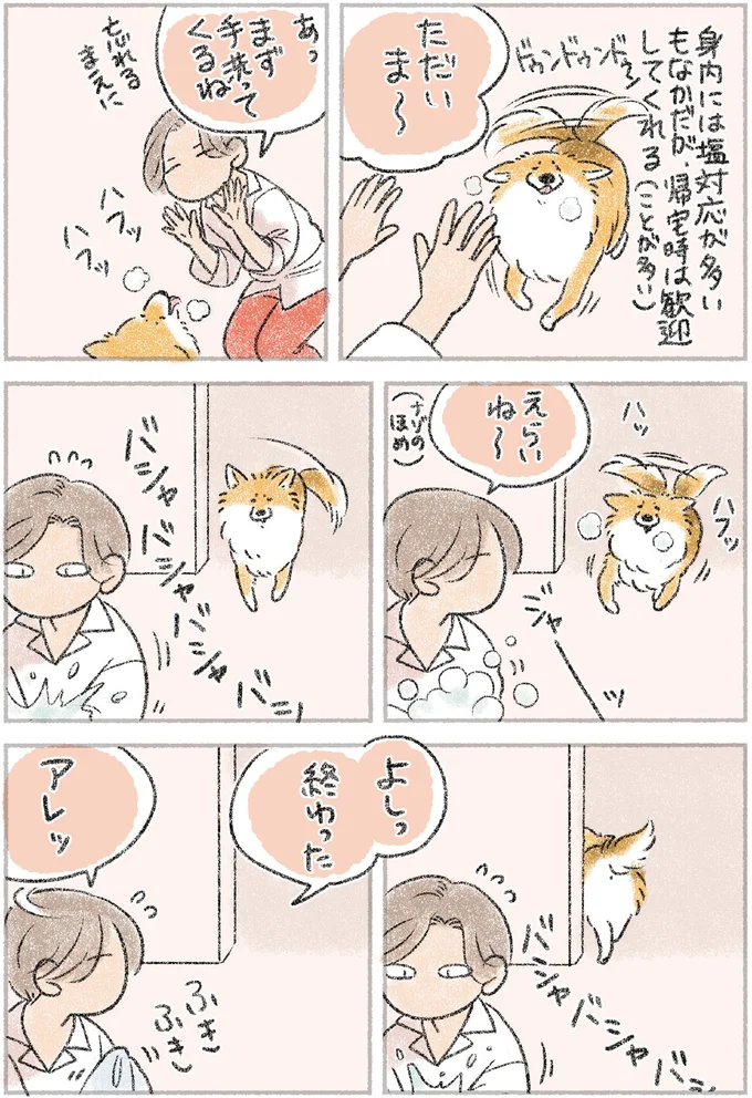 『犬を揉む -ぺちょら… ときどき 帰宅拒否-』より