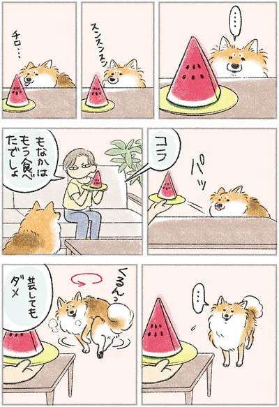 『犬を揉む -ぺちょら… ときどき 帰宅拒否-』より