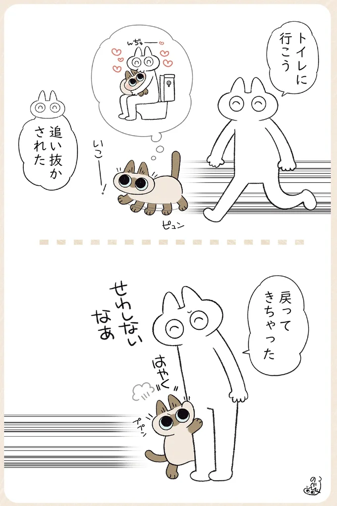 『やっぱり!!!!!　シャム猫あずきさんは世界の中心』より