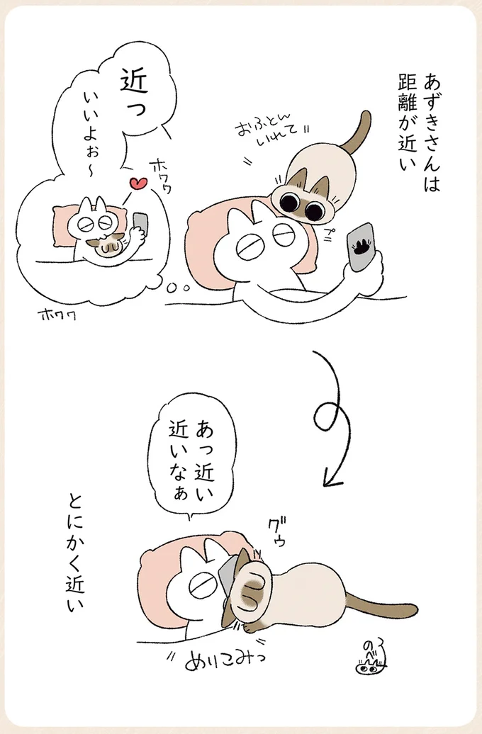 近い近いなぁ