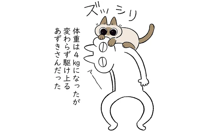 変わらず駆け上がる