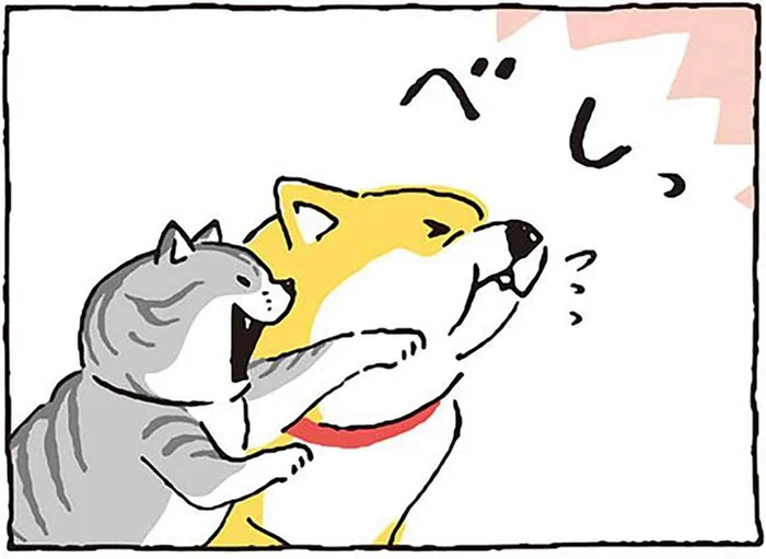 やめればいいのに！ やる前から勝負が見えてる猫VS犬の攻防／しばんばん（3）