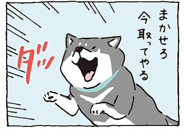 「俺にまかせろ！」仲間を助けようとしてドツボにハマった柴犬／しばんばん（7）