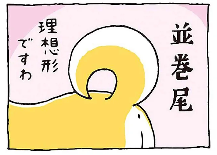 ぴーん？ くるん？ 柴犬のどんなしっぽがお好き？／しばんばん（9）
