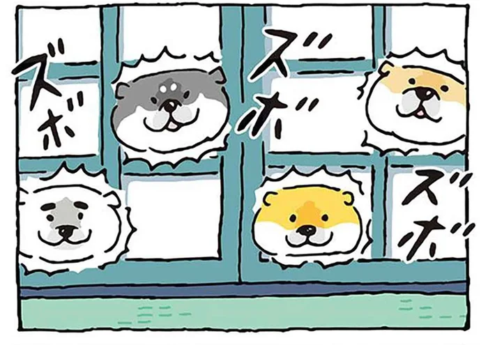 お願いやめて！ 柴犬が障子で遊び始めてもぐらたたき状態に／しばんばん（11）