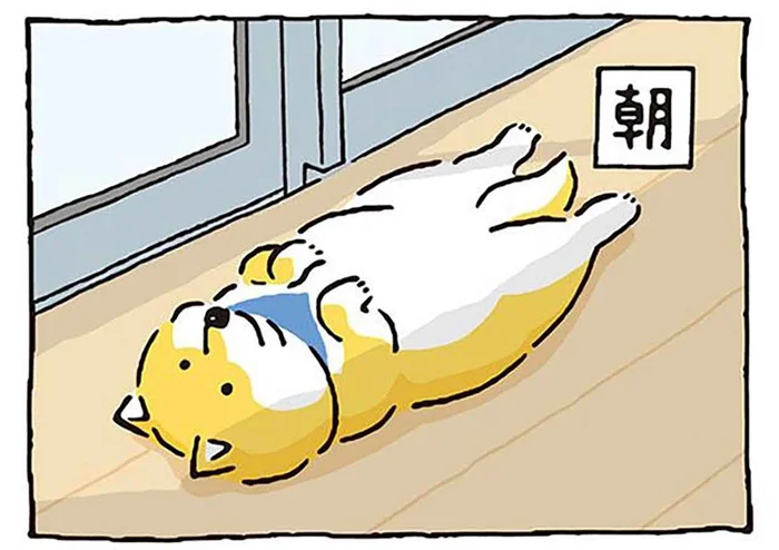家族を守ってる!? 自宅警備中の柴犬の姿／しばんばん（12）