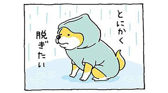 「とにかく脱ぎたい」雨ガッパを着た柴犬の本音!?／しばんばん（13）