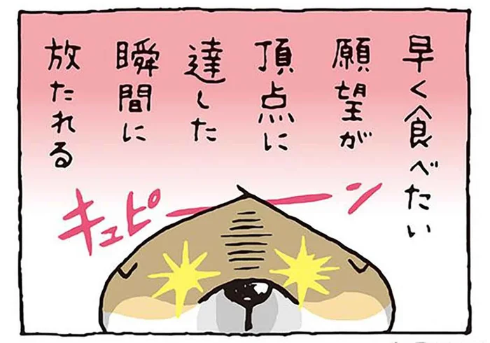 「おてててててて」ごはんを前にした柴犬が繰り出す必殺技／しばんばん（14）