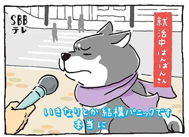 「結構パニックです」柴犬たちがこぞって恐れるモノとは!?／しばんばん（17）