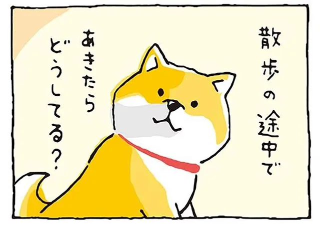 柴犬たちの本音トーク「散歩の途中であきたらどうしてる？」／しばんばん（18）