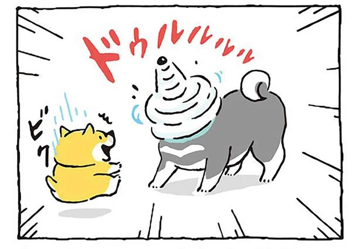 「めっちゃカッコエエッ!!!」はじめて見た「紫ドリル」に感動!?／しばんばん（19）
