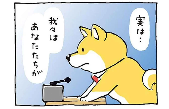 柴犬がオーナー諸君に伝えたいこと