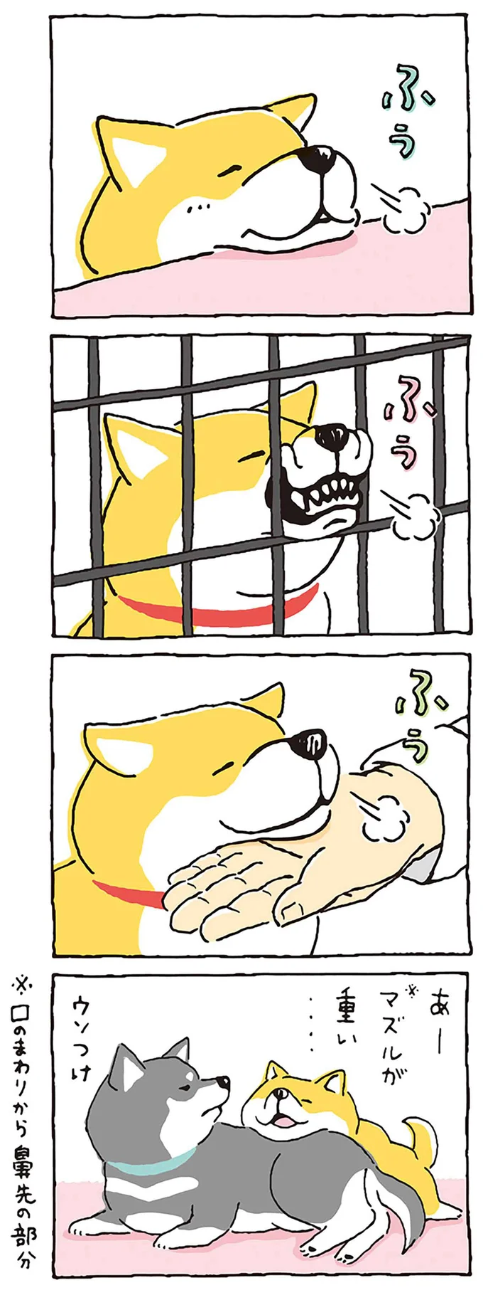 のせたがり