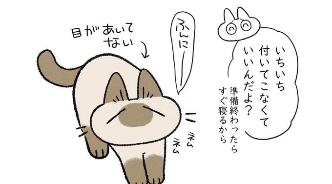 飼い主と一緒に寝るまでは…