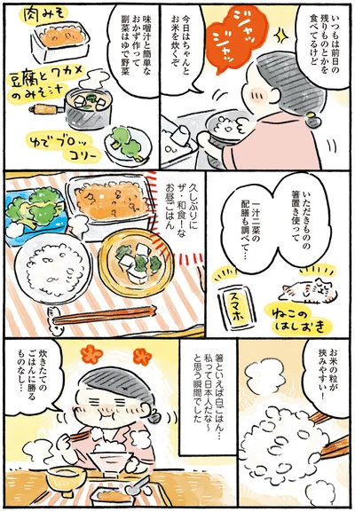 お米の粒が挟みやすい！